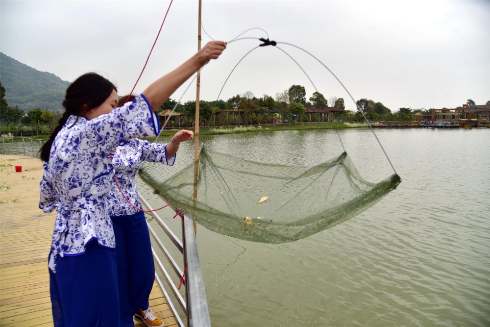 游客站在捕鱼平台上,用手拉动搬罾网的绳子,罾网慢慢露出水面,水从
