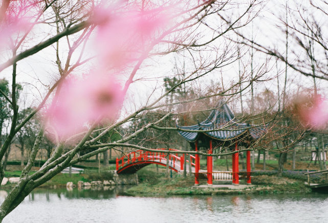 南京也有一座布查特花園,溧水三葉夢華苑,圓您一個花園夢