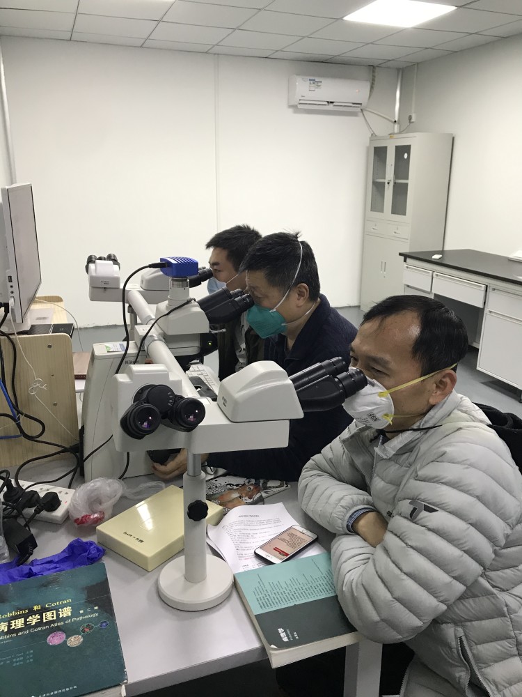 新冠肺炎遗体解剖第一人刘良这场解剖让医生不再蒙眼上战场