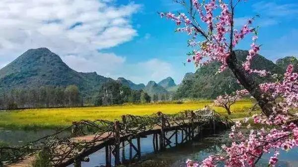 菜花箐村是电視剧《三生三世十里桃花》的外景拍摄地,这个苗族村寨