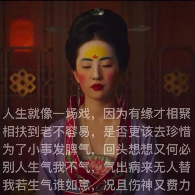 神仙姐姐刘亦菲饰花木兰表情包上线