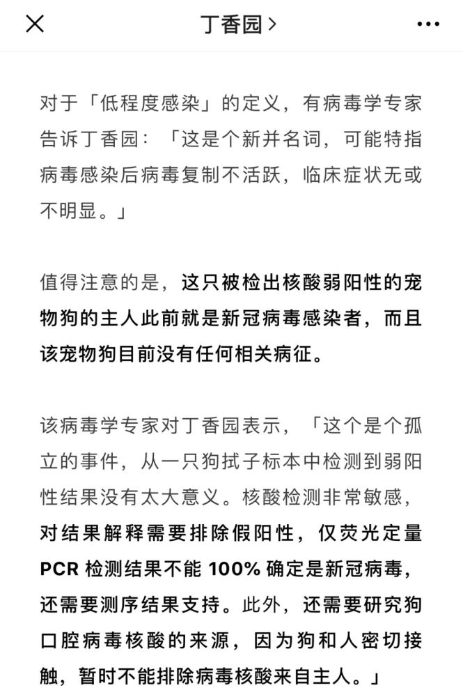 全球首例宠物确诊新冠状病毒?香港专家:我们还没确定