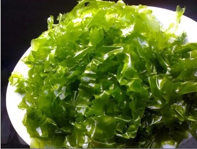 学名叫海莴苣.它薄薄的绿绿的,真有点像莴苣叶或生菜叶.