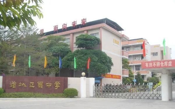 增城11.6亿再推两宗宅地,楼面地价低至3904元