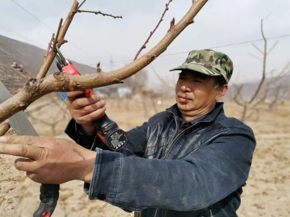 二十里铺村副主任田种森告诉记者,村里的防疫卡口点移除后,加强了对