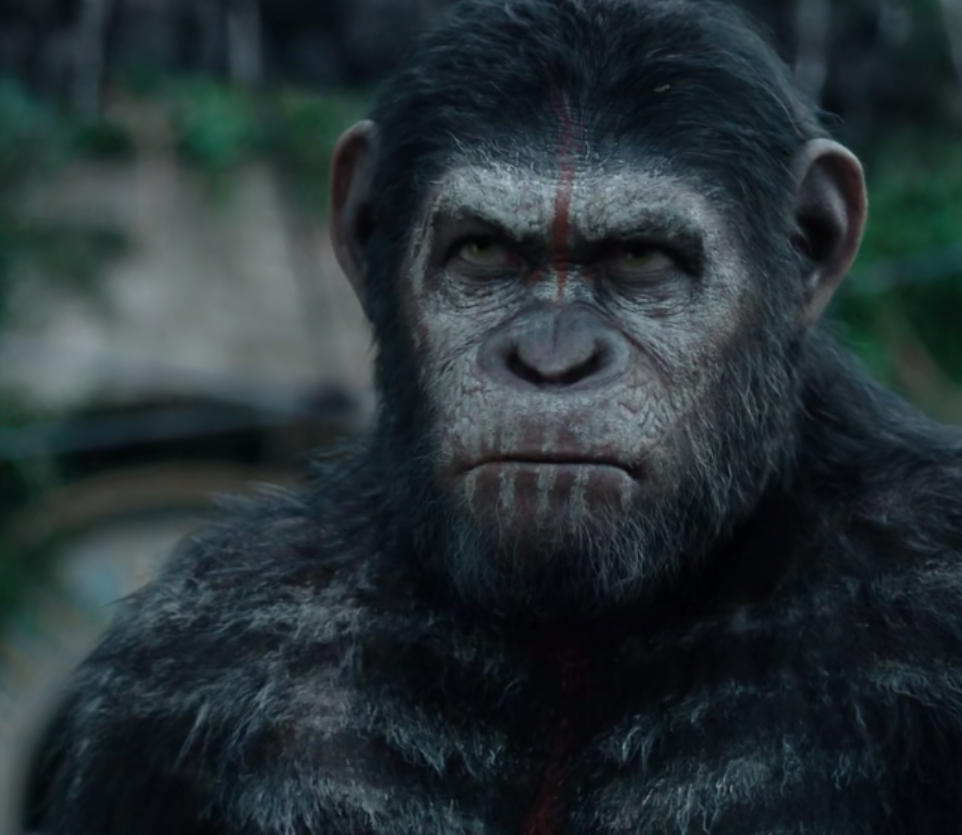 科幻电影 人类爆发 猿流感 几乎灭绝 猩猩冲进城市主宰一切 腾讯新闻