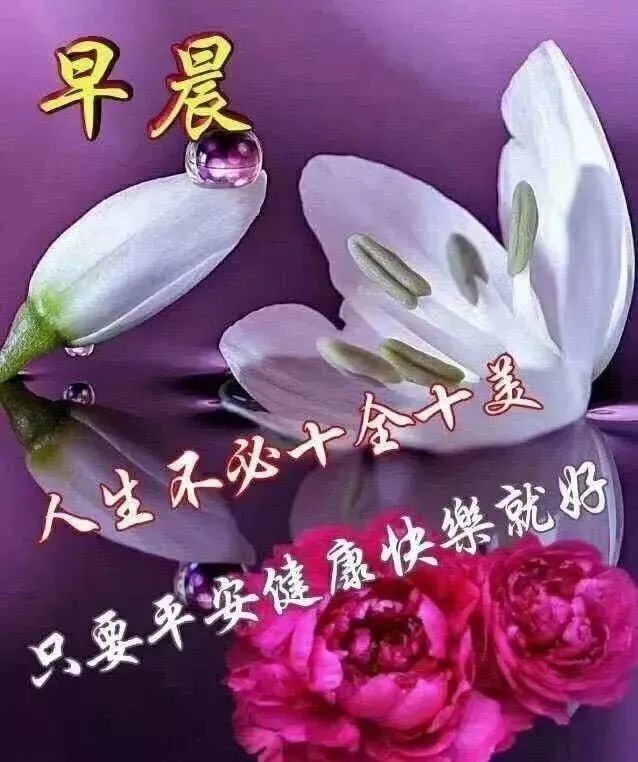 新的一天新的早上好动图问候表情大全,最新温馨的特漂亮早上好问候语