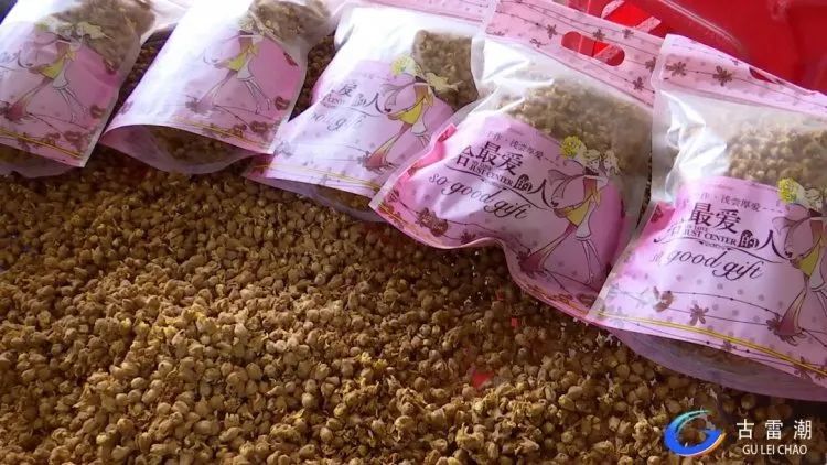 古雷港区这个村庄无一贫困户 一颗 金枇杷 带动群众增收致富 腾讯新闻