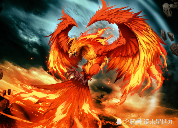 可能佛祖也不知道的是,在羽嘉和毛犊面前,它俩至少是孙子辈了.