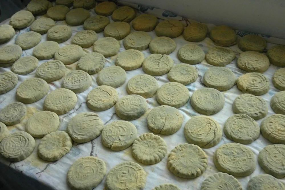 到南岙做一次青饼吧19.和小伙伴去沈院郊游,野餐18.