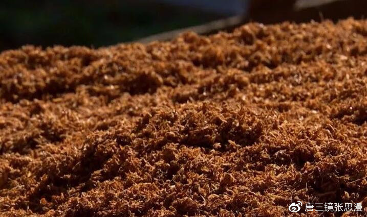 唐三镜张思漫:烤酒设备蒸馏后的酒糟用来喂猪比饲料还好用_腾讯新闻