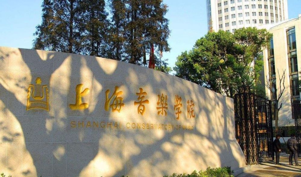 放大招这个区惊艳上海