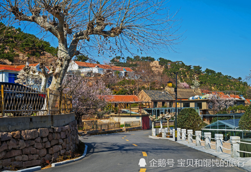 都说山东威海是鬼城,去了荣成才知道,你见过这样的鬼城吗?