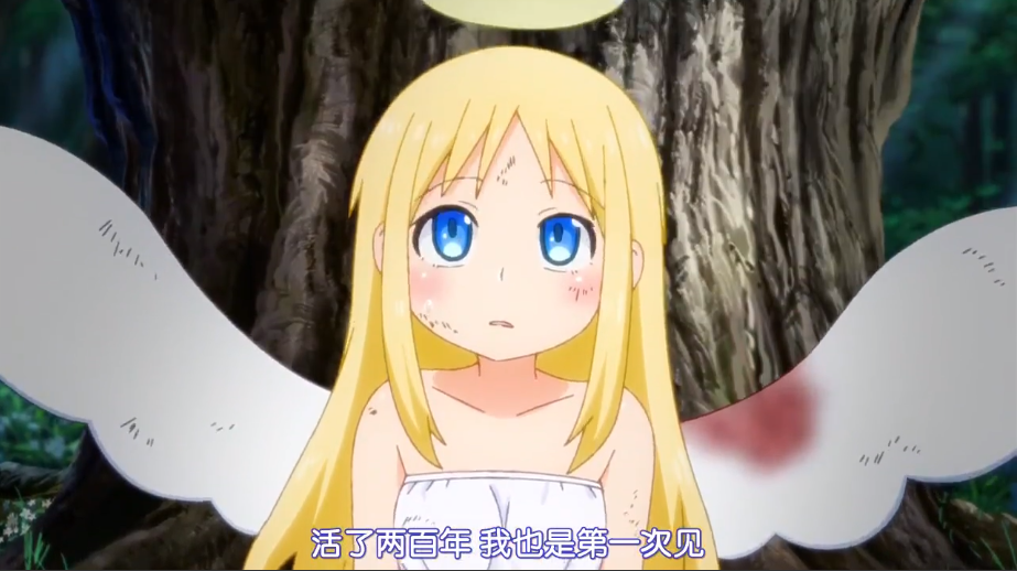 天使可利姆已被彻底带坏不和史坦克组队也会独自写评鉴