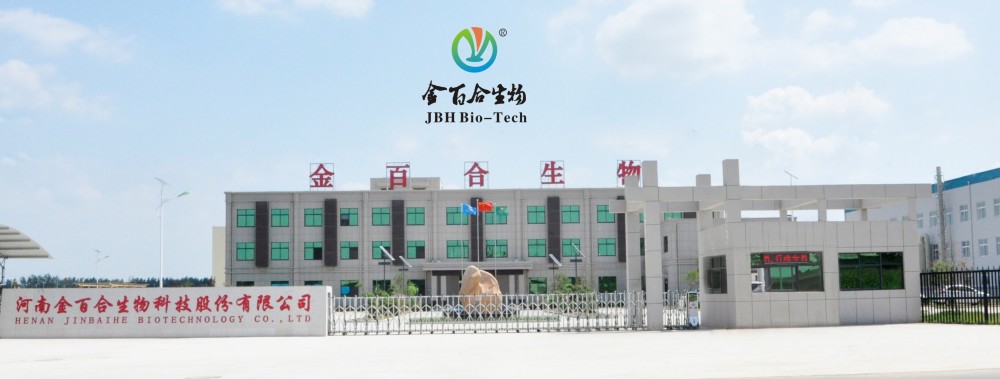 专访河南金百合生物科技股份有限公司总经理李克克