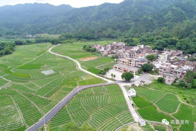 该区共3个村上榜,分别为乐城镇领村村,社播村,以及小湘镇汉塘村