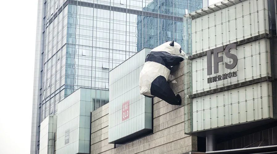 成都机场附近到底有好多只熊猫