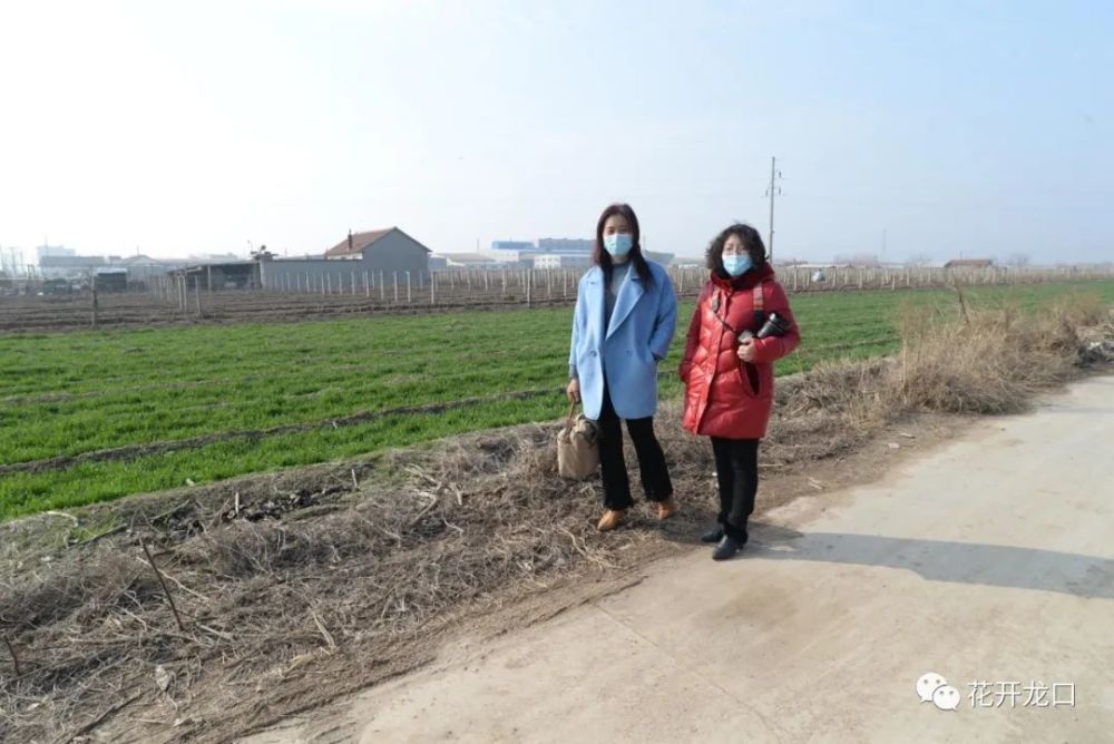 【摄影】东莱街道单家村,二月里来把春忙