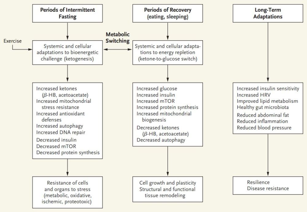 Nejm 治病 延寿 抗衰老 靠谱的轻断食有多健康超乎你想象 腾讯新闻