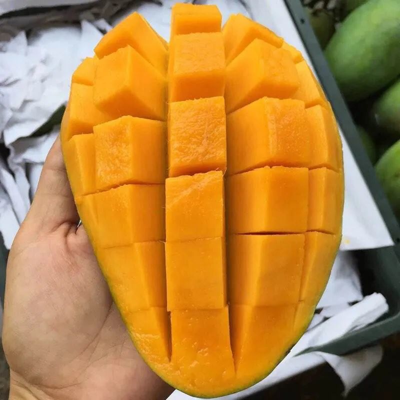 它被誉为芒果界的巨无霸业内称它为芒果之王甜到你心坎