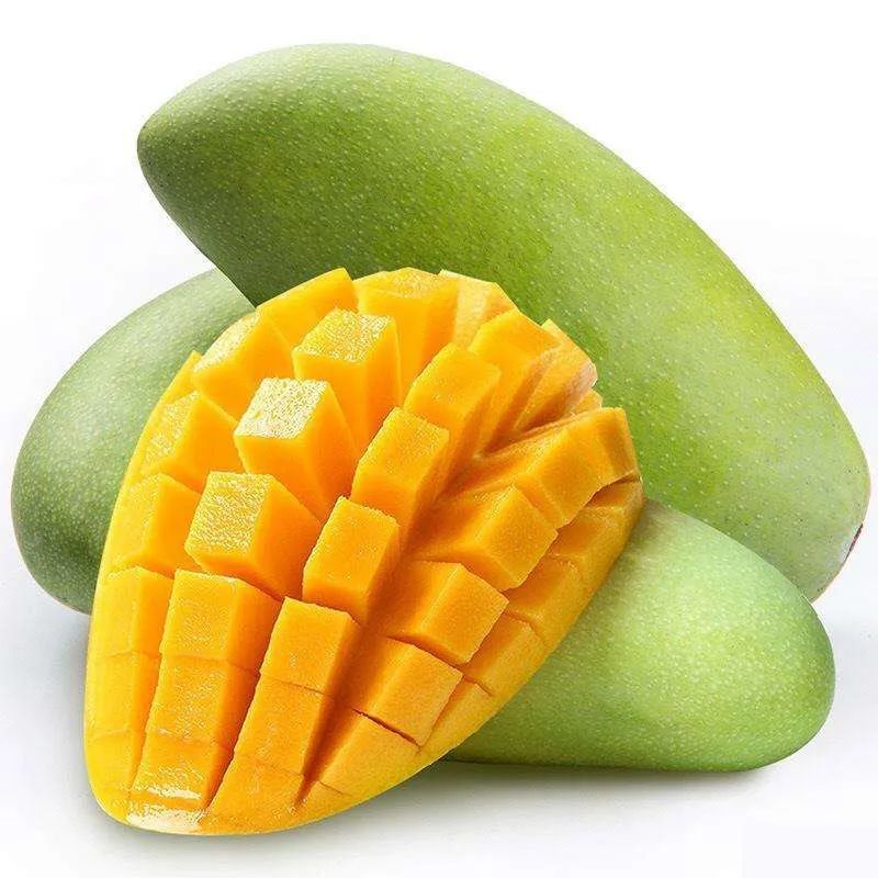 它被誉为芒果界的巨无霸业内称它为芒果之王甜到你心坎