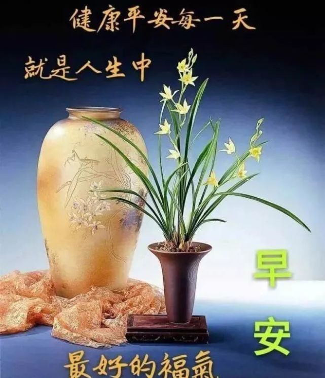 大家早上好,2020鼠年漂亮好看的清晨好动态图片带字,早上好祝福语!