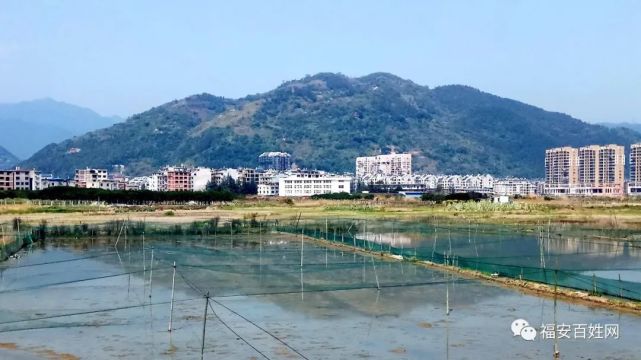 福安甘棠蓮花山上曾經發生的古今傳奇……|甘棠鎮|蓮花山|福安市|蓮花