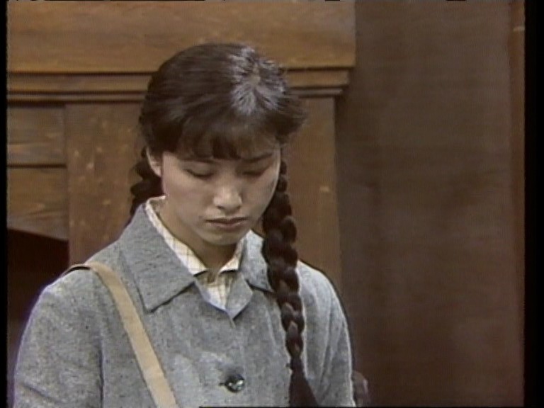 《渴望》:举国皆哀刘慧芳,举国皆骂王沪生,万众皆叹宋大成!