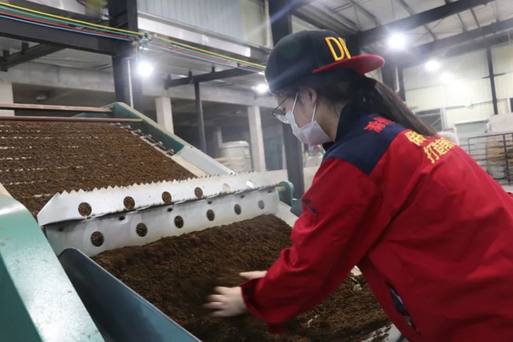 滁州绍峻红茶"琅琊琥珀"的故事