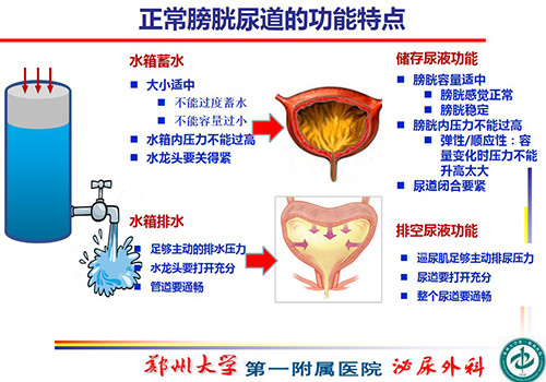 对话王庆伟 神经源性膀胱的诊断及治疗 腾讯新闻