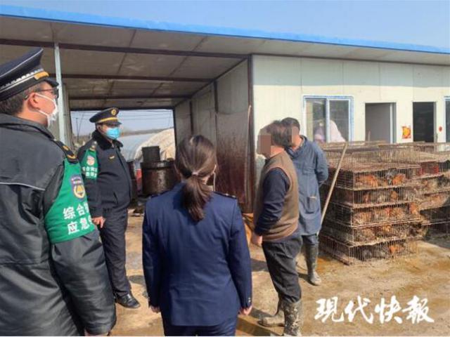 南京江北有人违规宰杀活禽 上百个铁笼里装满活鸡活鸭_腾讯新闻