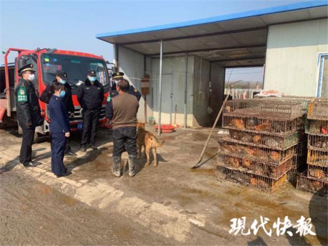 南京江北有人违规宰杀活禽 上百个铁笼里装满活鸡活鸭_腾讯新闻