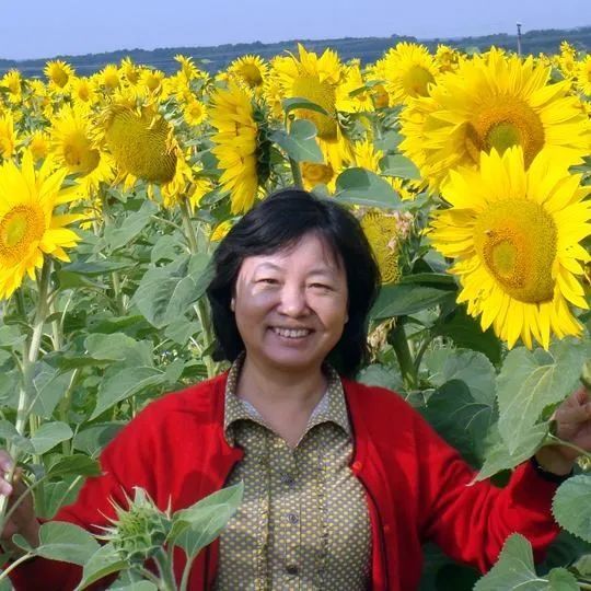 华东师范大学 华爱华"吃喝玩乐"幼儿健康教育的大事,要事1河南省实验