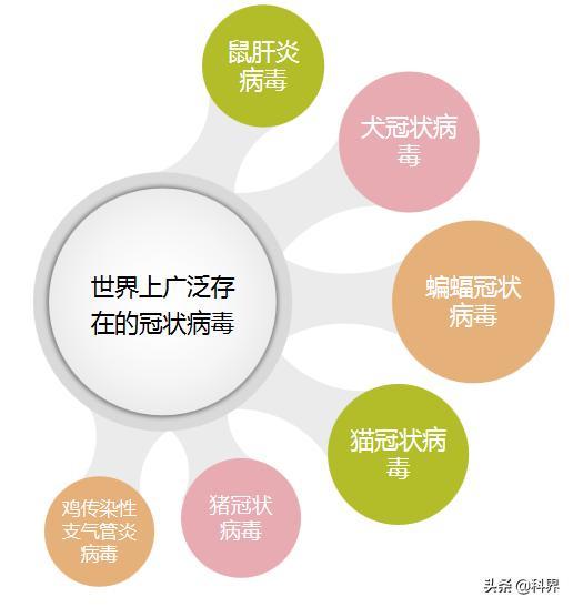 只不过危害性一直不大,所以很多人对这个病毒并没有认知