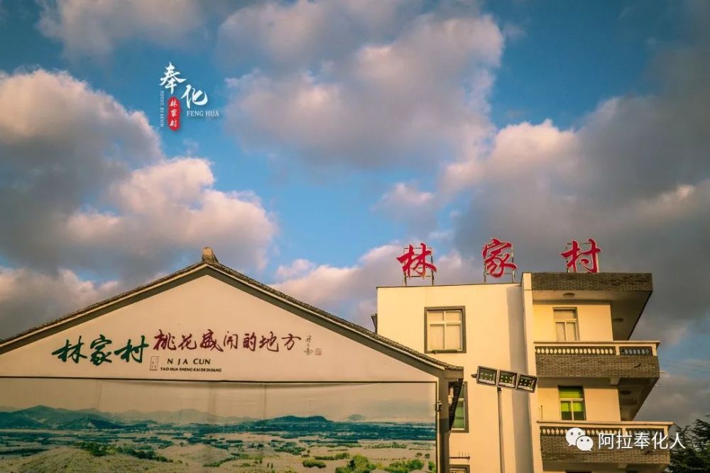 天下第一桃园林家村