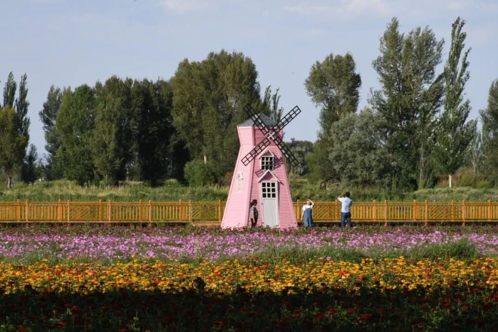 三道沟镇用心经营福禄花田