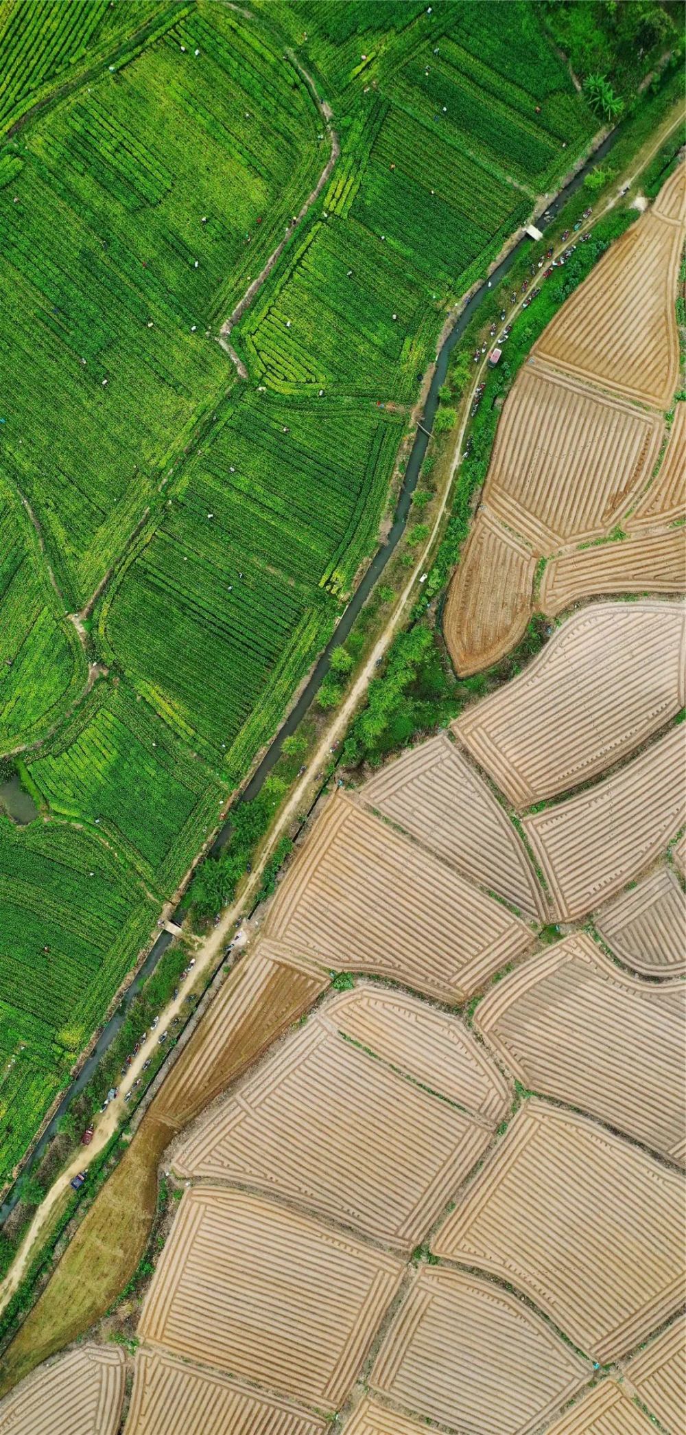 卫星拍春耕:从南到北"动"起来