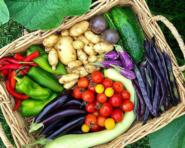 养什么花配什么土 老花匠教你使用这14种土 花儿又肥又壮 君子兰 营养土 赤玉土 泥炭土 多肉