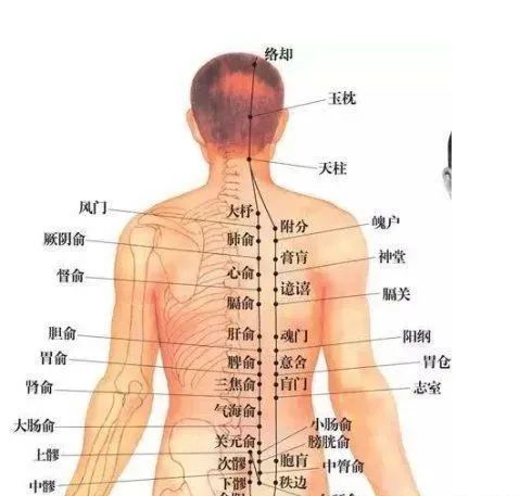 拔罐不拔這個部位別想好的快