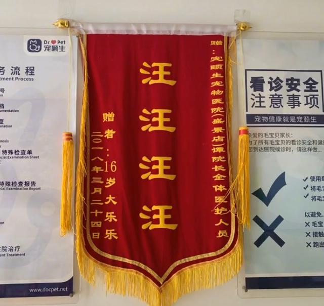 不知道您能不能看懂这些联想类锦旗,反正笔者是看懂了,估计宠物医生也