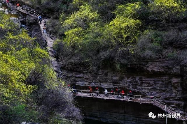 林州大峽谷景區今日恢復開放