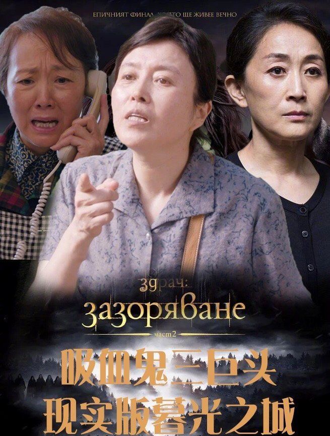 安家豆瓣6一地鸡毛的百态人生成年人的生活哪有那么容易