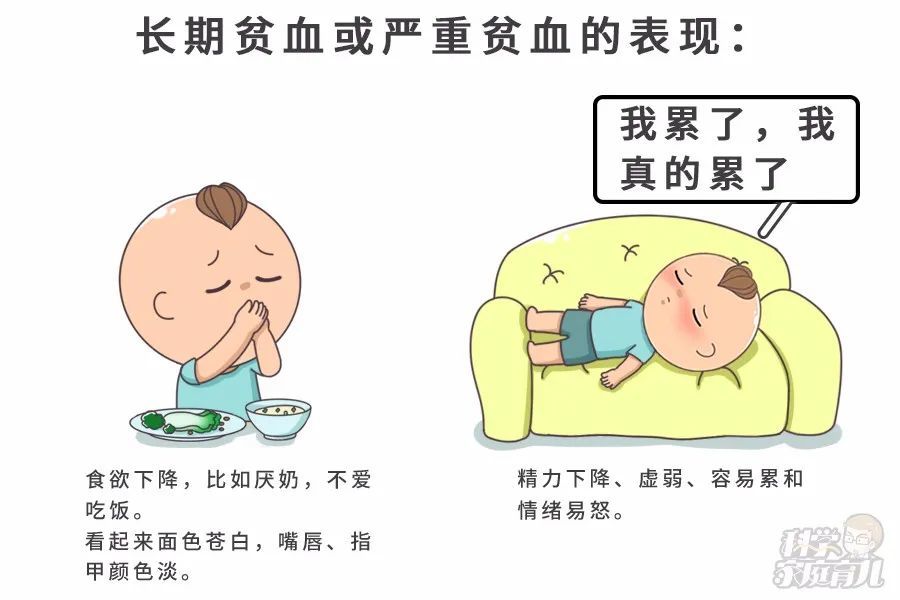 得重视三类宝宝最容易贫血判断宝宝贫血看症状就晚了