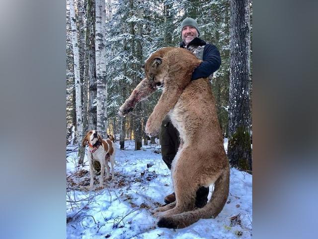 養熊不能滿足俄羅斯人了這種猛獸都被當成寵物了