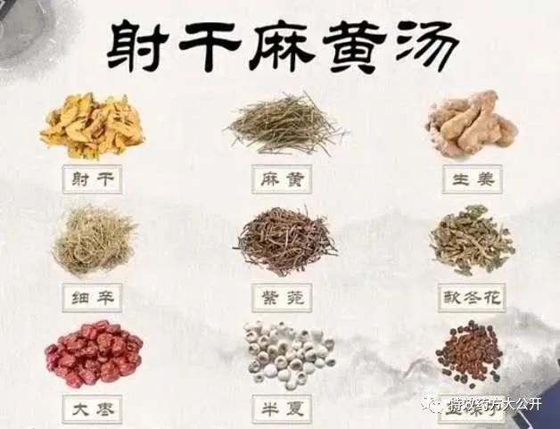 于中医经典《伤寒杂病论》中的方剂组合,包括了麻杏石甘汤,射干麻黄汤