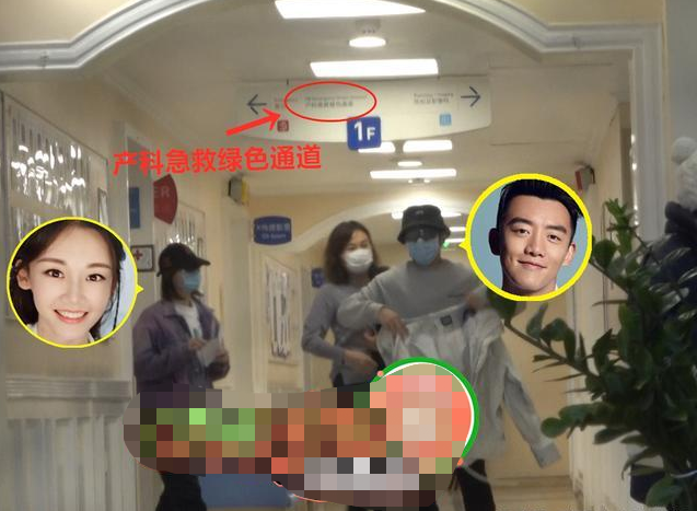 苗苗|苗苗点赞视频疑暗示现状：怀孕后没收入，靠郑恺赚钱养家