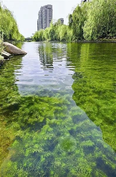 碧水迎亚运杭州城市河道要做六件事