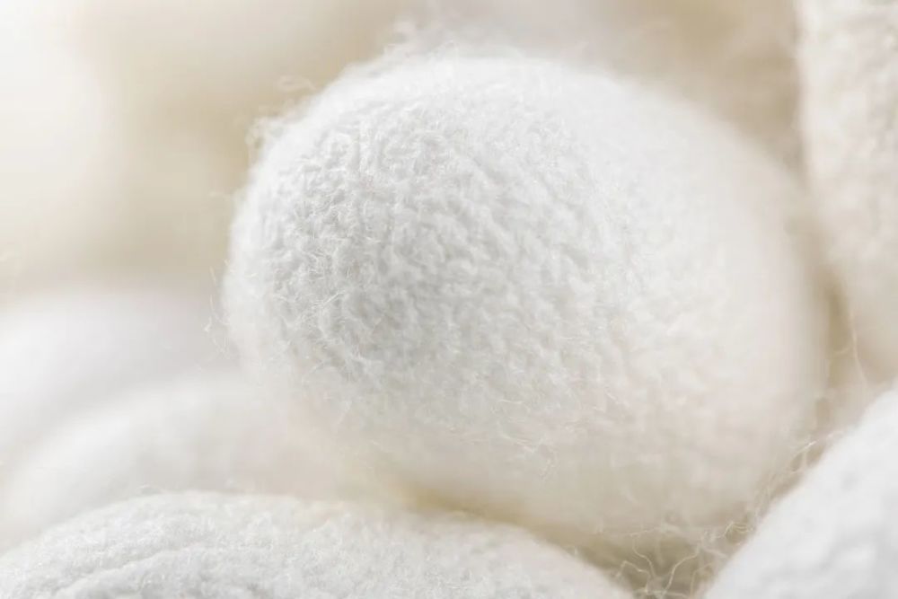 一颗蚕茧唤醒肌肤活力