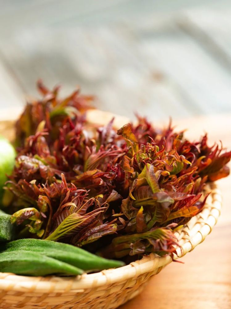 这一口春鲜,宅家也不能辜负