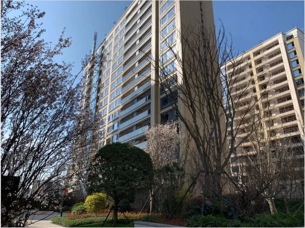 提前点映成都诚园,看绿城成都首作的兑现力